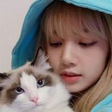 Profile picture of Lisa-Molsson